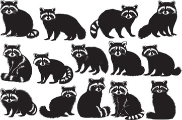 Set of raccoon silhouette isolated on white background.