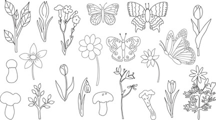 Set of field flowers, mushrooms and butterflies. Vector illustration collection, outline black and white hand-drawn nature graphic elements