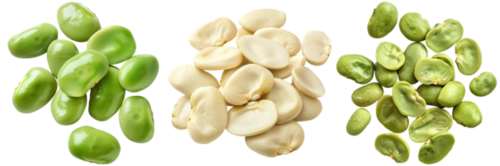 Three piles of different types of lima beans: green broad beans, white lima beans, and green split peas.