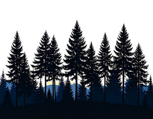 Fototapeta premium Silhouetted Dark Pine Trees Against Twilight Sky, isolated on transparent background PNG