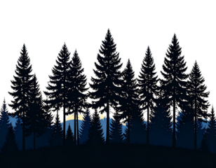 Silhouetted Dark Pine Trees Against Twilight Sky, isolated on transparent background PNG