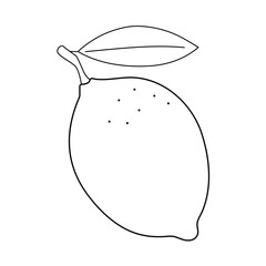 Outline drawing lemon isolated on a white background. Linear icon, vector illustration of fruits. Editable stroke. Line thickness can be changed. 