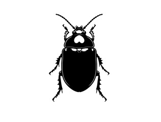 Cucumber beetle insect in silhouette image white background.