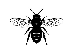  full black vect of Cuckoo bee insect in silhouette image white background.