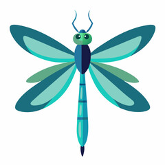 colorful dragonfly vector illustration, animal, isolated on white background