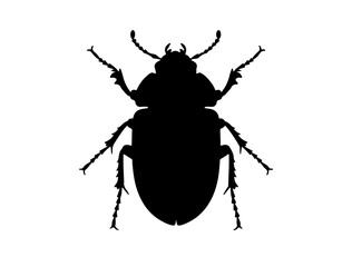 Generate full black vect of Dung beetle insect in silhouette image white background.