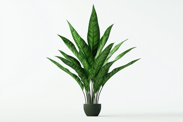 Green houseplant in a decorative pot, perfect for home decor, featuring fresh leaves and a natural feel