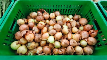 Fresh onions in green container for culinary use