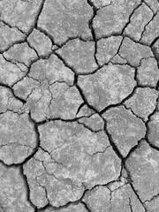 Cracked earth. Large deep chaotic cracks in ground. Natural phenomenon, disaster. Arid agricultural field, drought. Lifeless desert. Drought Concept. Dry Cracked Ground Texture, Climate Change. Summer