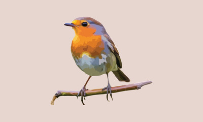 Vector bird  design fully editable high quality.eps