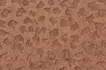 Background with decorative plaster in daylight