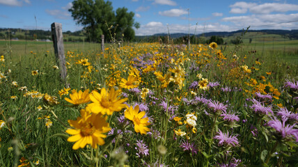 混植生垣が導くポリネーターハビタット