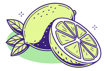 High Quality Vector Illustration of a Lime