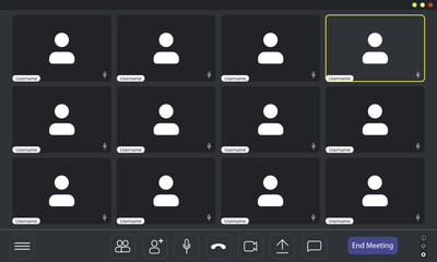 Multiple users joined a virtual meeting platform for discussion.