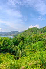 Obraz premium Views through lush green trees and palms over looking Kata and Kata Noi on the beautiful island of phuket in Thailand with lush green mountains and turquoise blue waters of the Andaman Sea