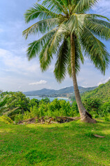 Obraz premium Views through lush green trees and palms over looking Kata and Kata Noi on the beautiful island of phuket in Thailand with lush green mountains and turquoise blue waters of the Andaman Sea