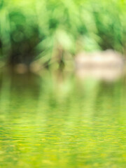 木の葉の緑が反射して綺麗な川の水面　背景ぼかし