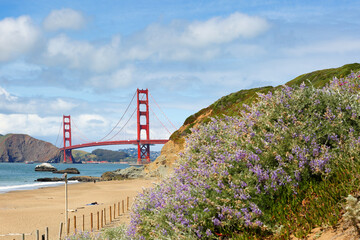 Golden Gate Bridge and skyline of San Francisco on a sunny day viewing from Marshall's Beach, San...