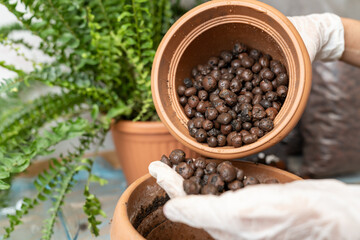 Gardener wearing gloves adding clay pebbles to flower pot for improved drainage and aeration,...