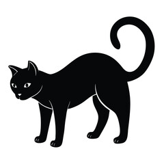 black cat silhouette