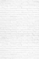 Texture of a white brick wall vector illustration	