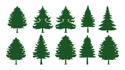 Fototapeta premium A row of evergreen tree silhouettes in various sizes