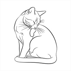 Elegant feline grooming with delicate lines cleaning