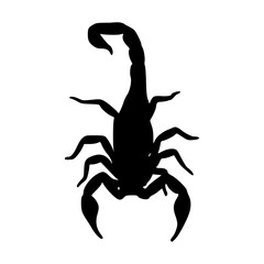 scorpion silhouette vector illustration