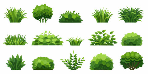 Collection of 30 illustrated green plants and bushes on a white background shrub grass