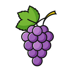 A bunch of purple grapes with a green leaf and stem vector