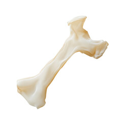 bone on white background