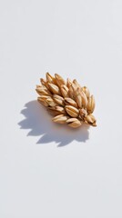 Single Farro Grain Displayed with Natural Texture Highlighted for Healthy Diet Concept