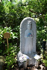 長谷寺のあじさい観音