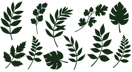 Fototapeta premium Elegant botanical leaf collection vector illustration for nature designs