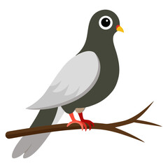vector illustration of a bird