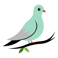 dove on branch