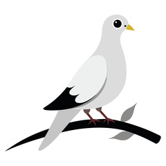 Obraz premium vector illustration of a pigeon