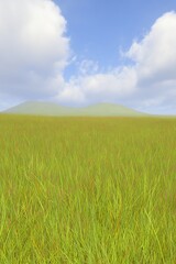 Fototapeta premium Serene grassland under blue cloudy sky