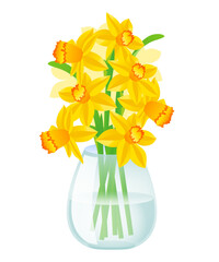 Bouquet in a transparent vase of yellow daffodils flowers. Isolated vector illustration
