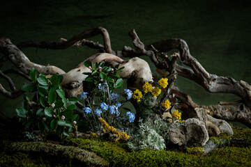 Delicate spring flowers bloom in a romantic composition, infused with mystery and freshness. Soft...