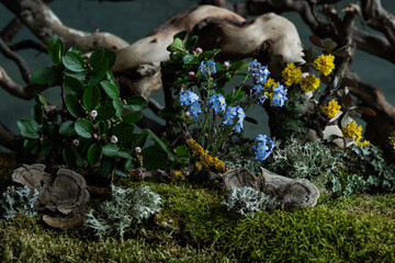 Delicate spring flowers bloom in a romantic composition, infused with mystery and freshness. Soft...