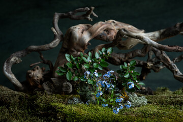 Delicate spring flowers bloom in a romantic composition, infused with mystery and freshness. Soft petals and enchanting hues create a dreamy and poetic atmosphere