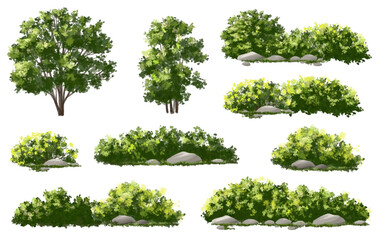 Vertor set of green tree,plants side view for landscape elevations,element for backdrop,eco environment concept design,watercolor greenery scene