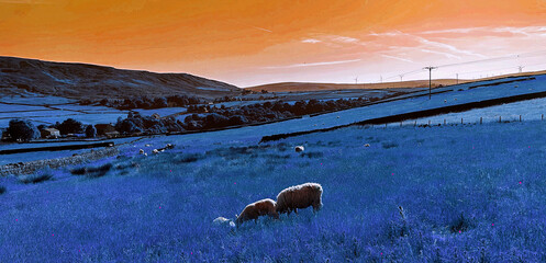 Time seems lost in dreamlight folds, a stillness hums in cobalt light, and every shadow softly holds the whisper of the coming night near, Mankinholes Bank, Todmorden, UK
