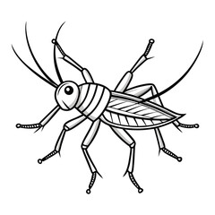 Fototapeta premium Black outline cricket insect illustration on white background arthropod invertebrate