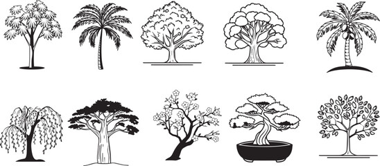 A set of vector palm tree illustrations with nature and weather elements