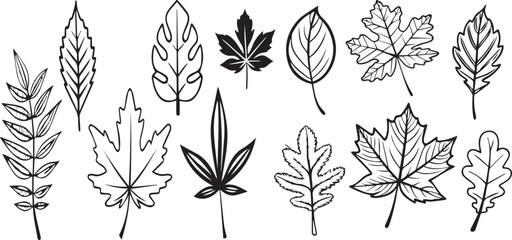 Black and white vector illustration of flowers and plants in a seamless decorative pattern