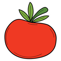 Hand drawn cartoon tomato on white background.