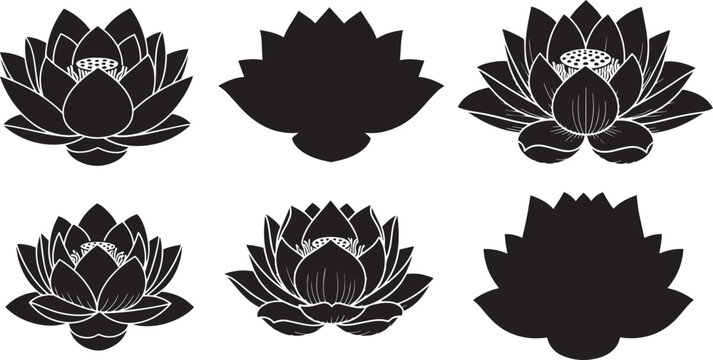 Collection of Six Lotus Flower Silhouettes Vector Illustrations