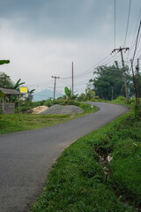 Scenic Rural Road with Vegetation and Power Poles on a Cloudy Day